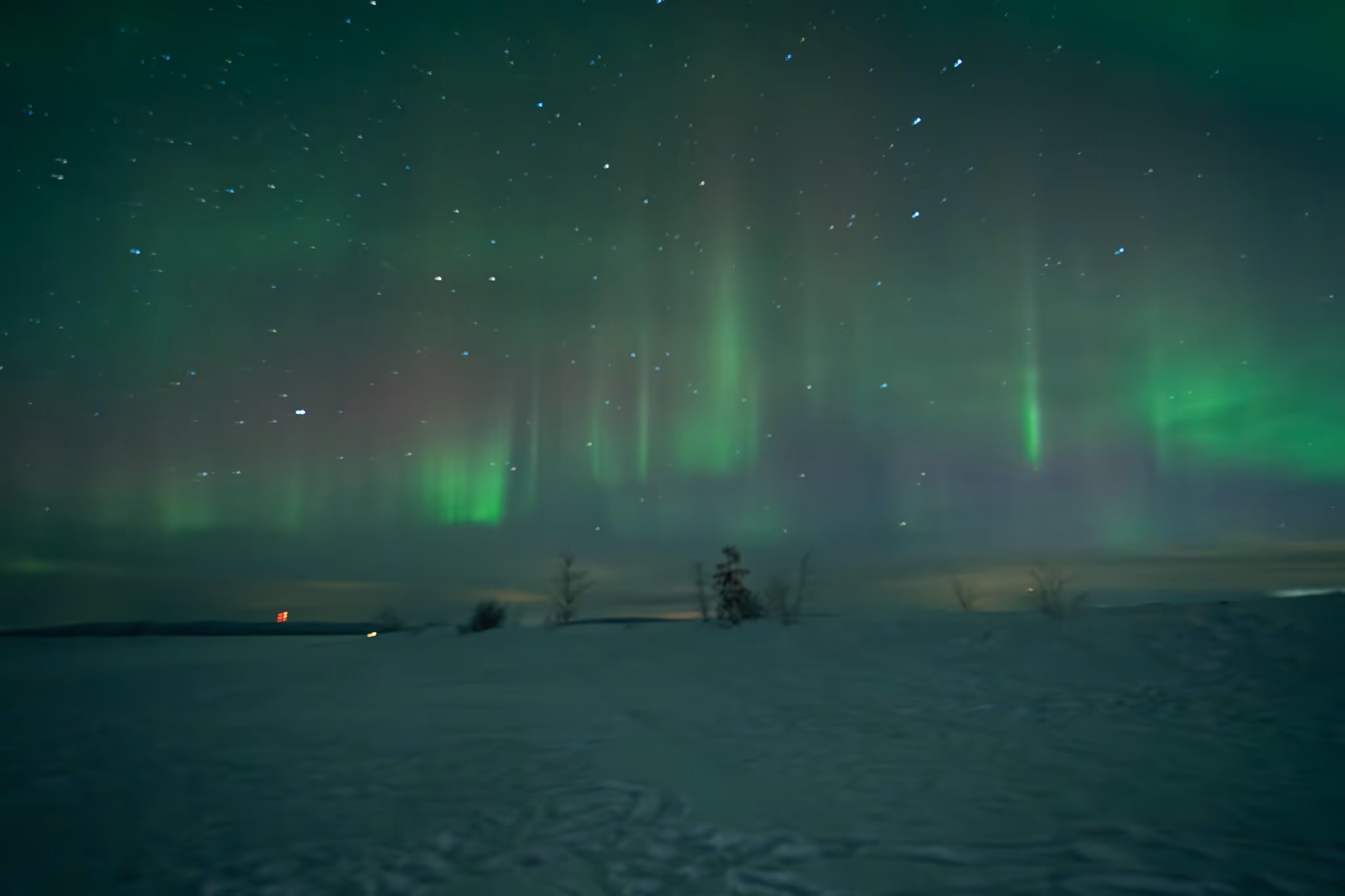 Foto real de aurora de um tour da Lapland Explorers
