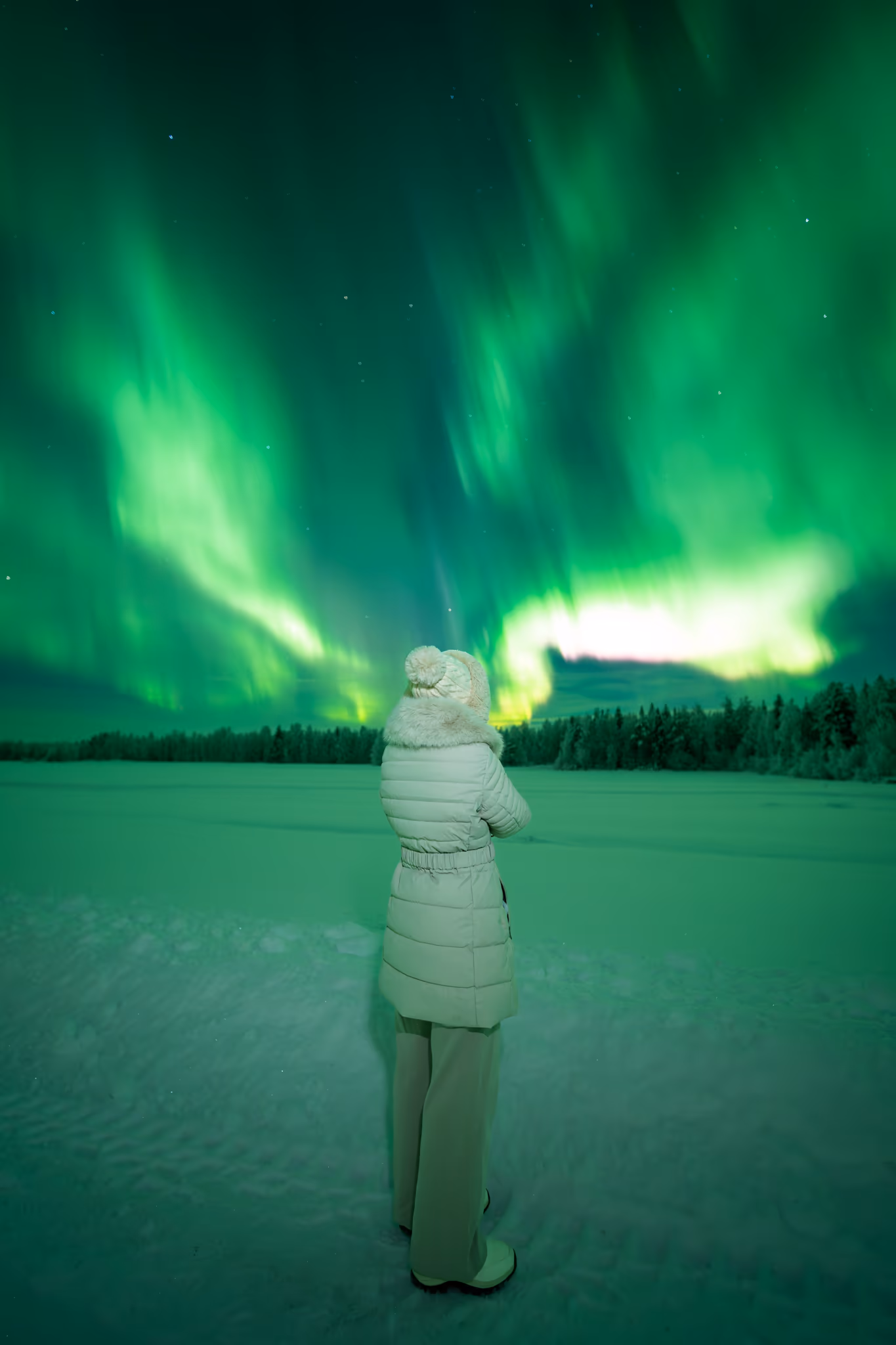 Lapland Explorersの実際のオーロラ写真