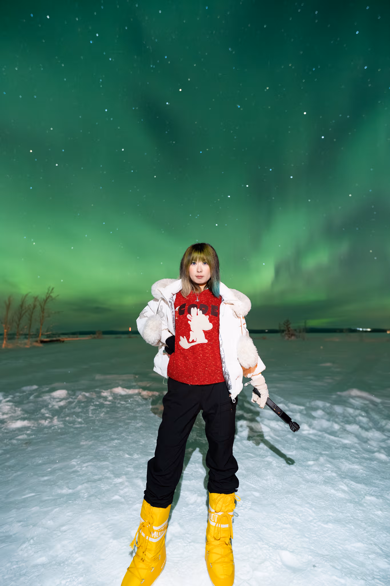 Lapland Explorers 实际极光行程照片